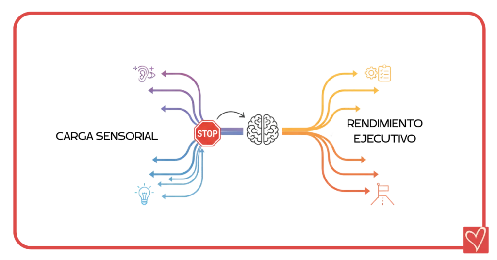 funciones ejecutivas